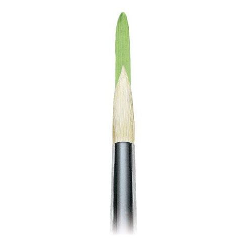 WINTON BRUSH ROUND 8 LONG HANDLE