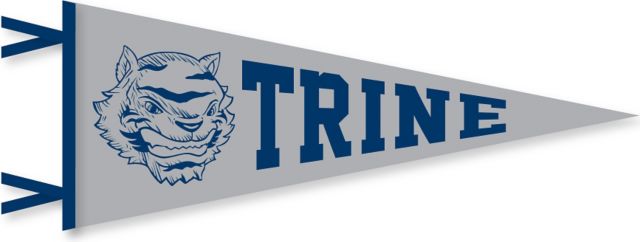 Trine University Thunder 6'' x 15'' Pennant